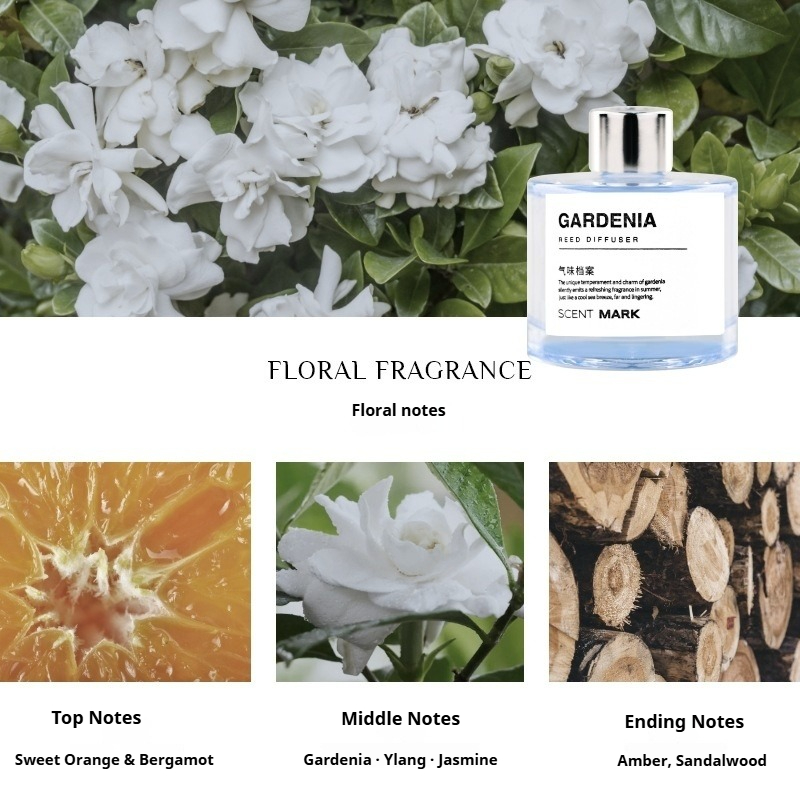 50ml Reed Diffuser Sets Rose L - Home Fragrance Jasmine Diffuser review and price