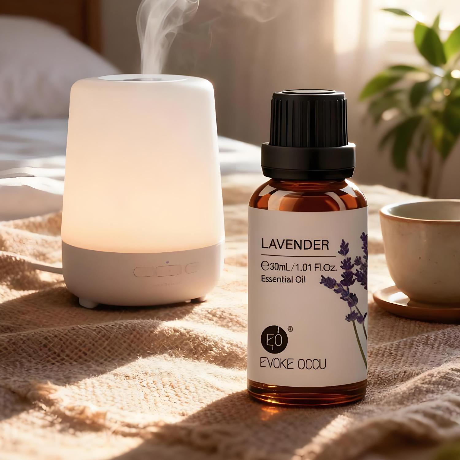 EVOKE OCCU Lavender Essential  - Home Fragrance Jasmine Diffuser review and price