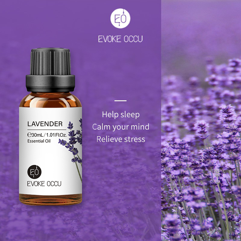 EVOKE OCCU Lavender Essential  - Home Fragrance Jasmine Diffuser review and price