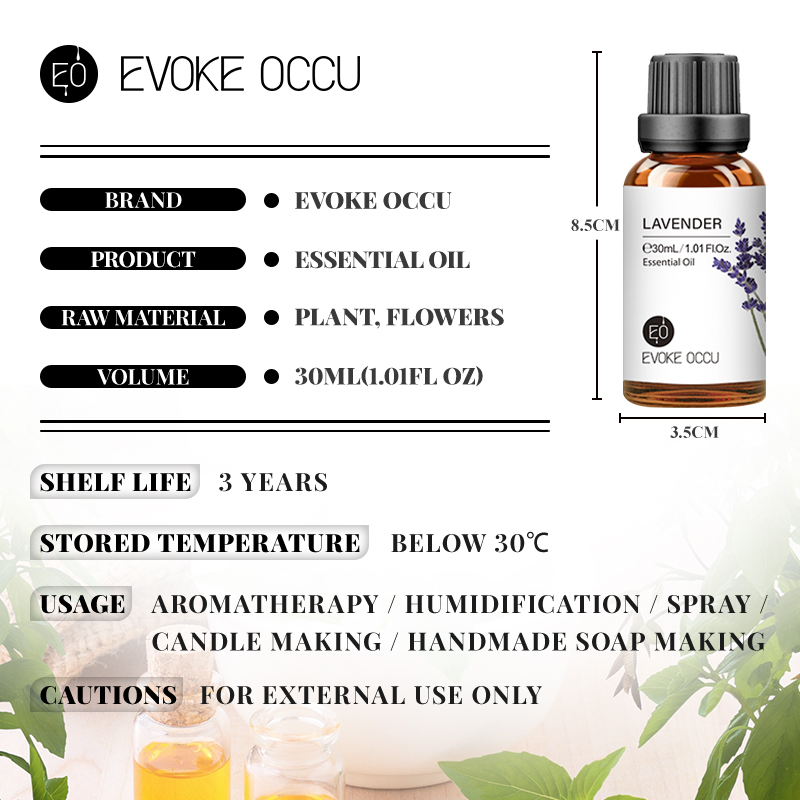EVOKE OCCU Lavender Essential  - Home Fragrance Jasmine Diffuser review and price