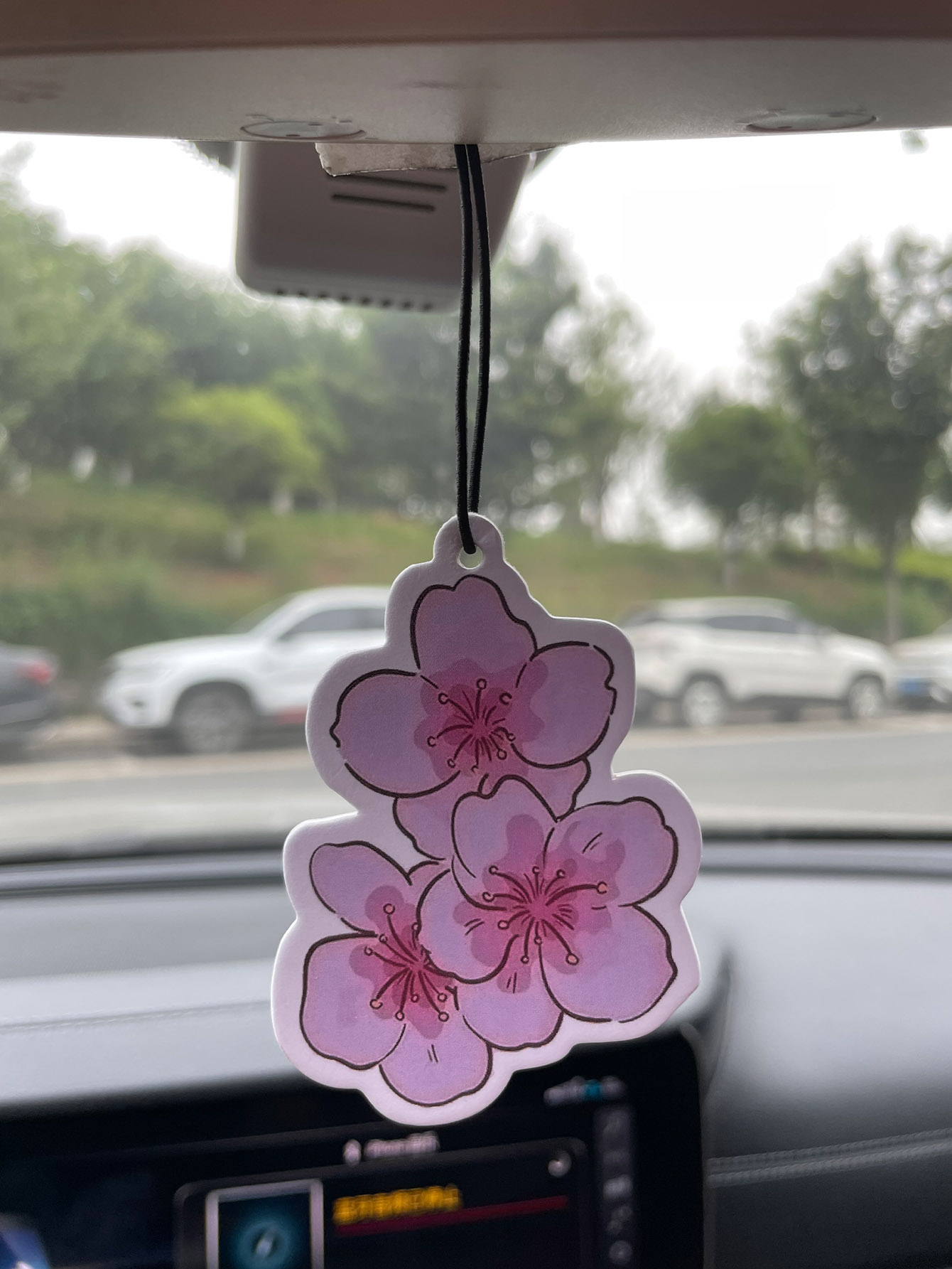 Sakura/Freesia Fresh Scent Fiv - Home Fragrance Products review and price
